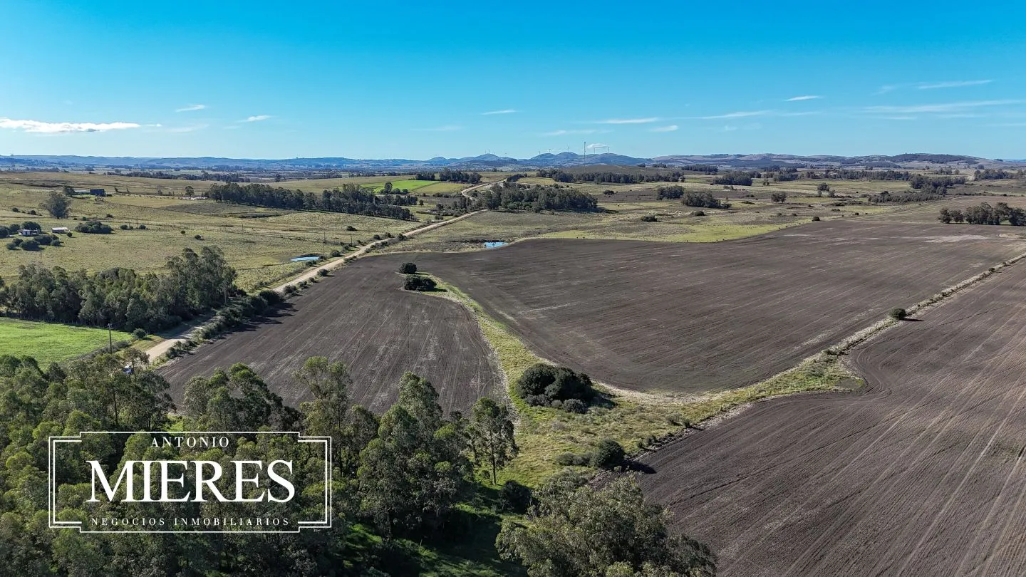Campo de 17 ha en venta puntas de Laguna del Sauce — foto 18