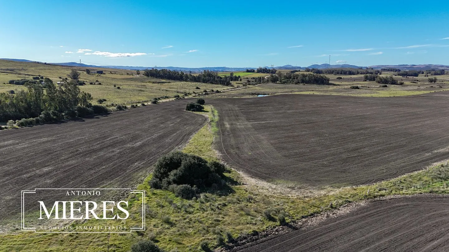 Campo de 17 ha en venta puntas de Laguna del Sauce — foto 19