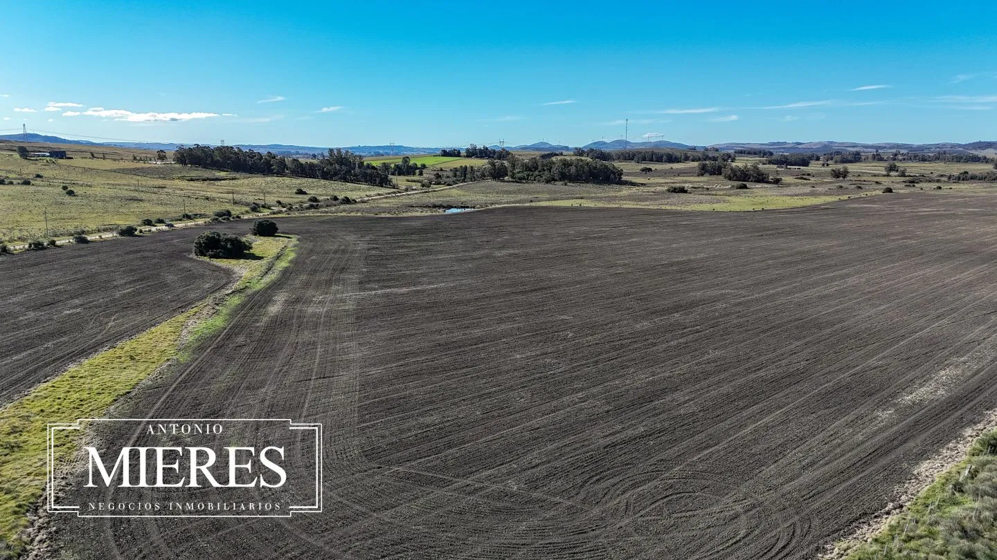 Campo de 17 ha en venta puntas de Laguna del Sauce — foto 20