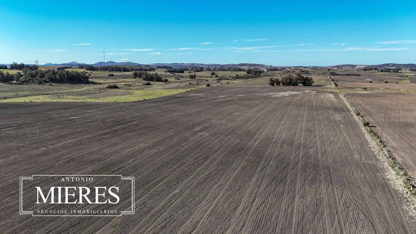 Campo de 17 ha en venta puntas de Laguna del Sauce — foto 21