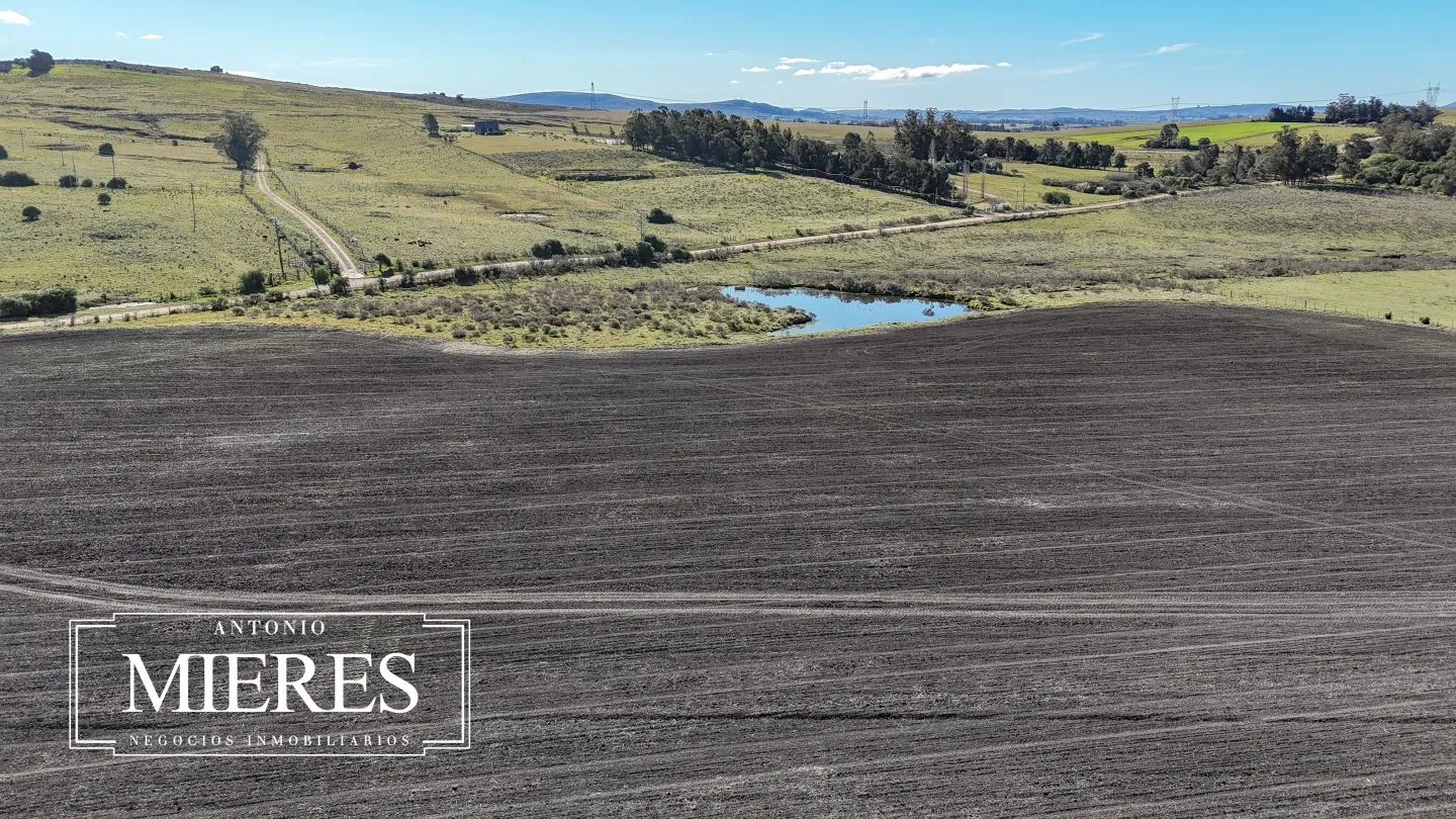 Campo de 17 ha en venta puntas de Laguna del Sauce — foto 22