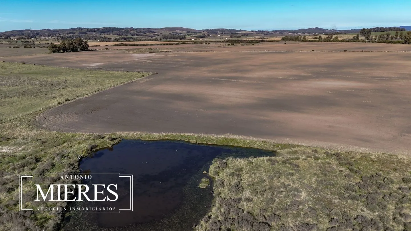 Campo de 17 ha en venta puntas de Laguna del Sauce — foto 23