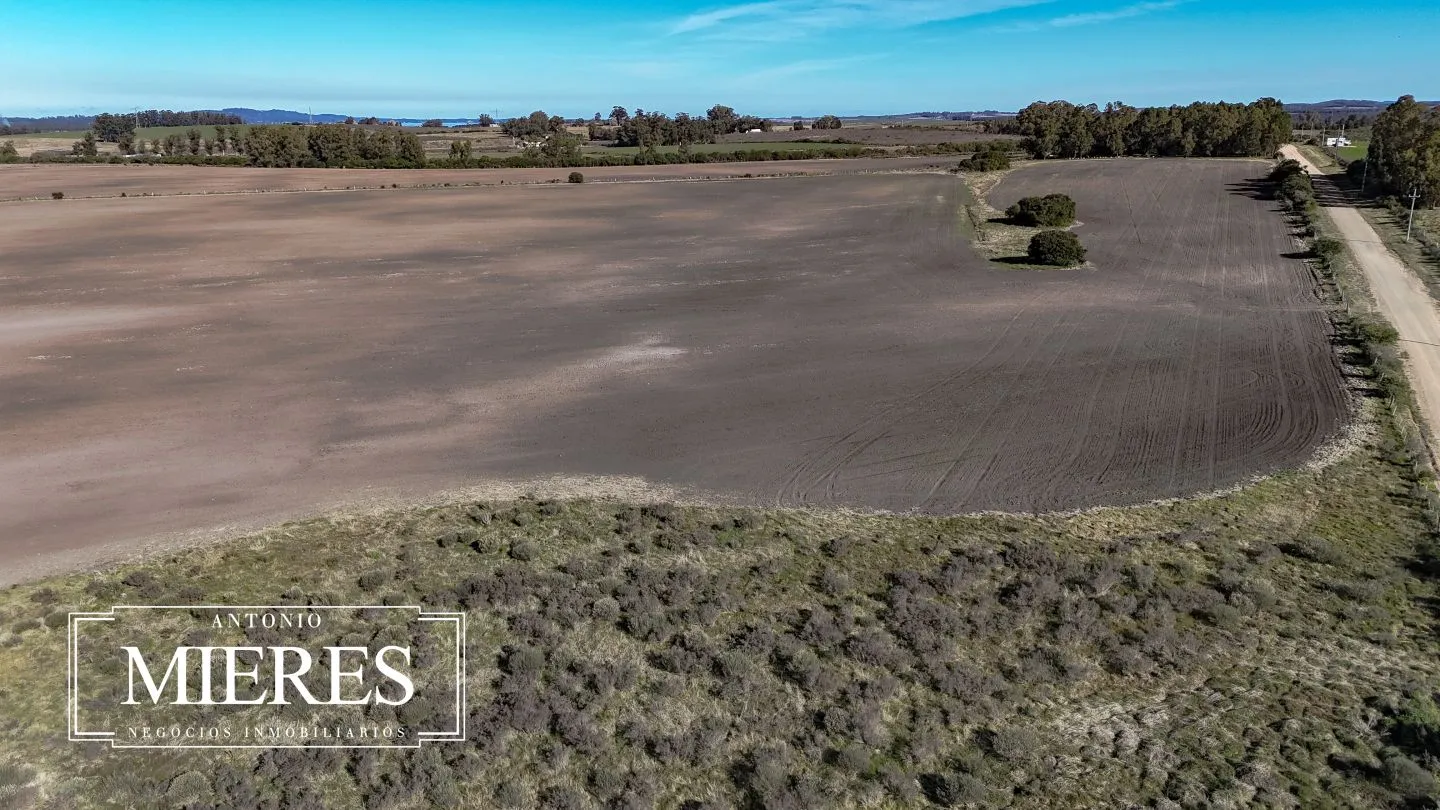 Campo de 17 ha en venta puntas de Laguna del Sauce — foto 24