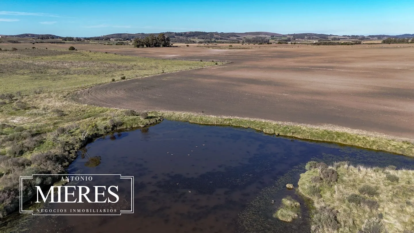 Campo de 17 ha en venta puntas de Laguna del Sauce — foto 25