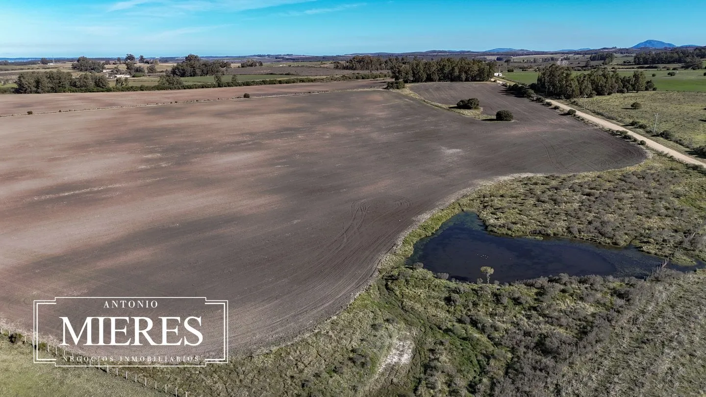 Campo de 17 ha en venta puntas de Laguna del Sauce — foto 26