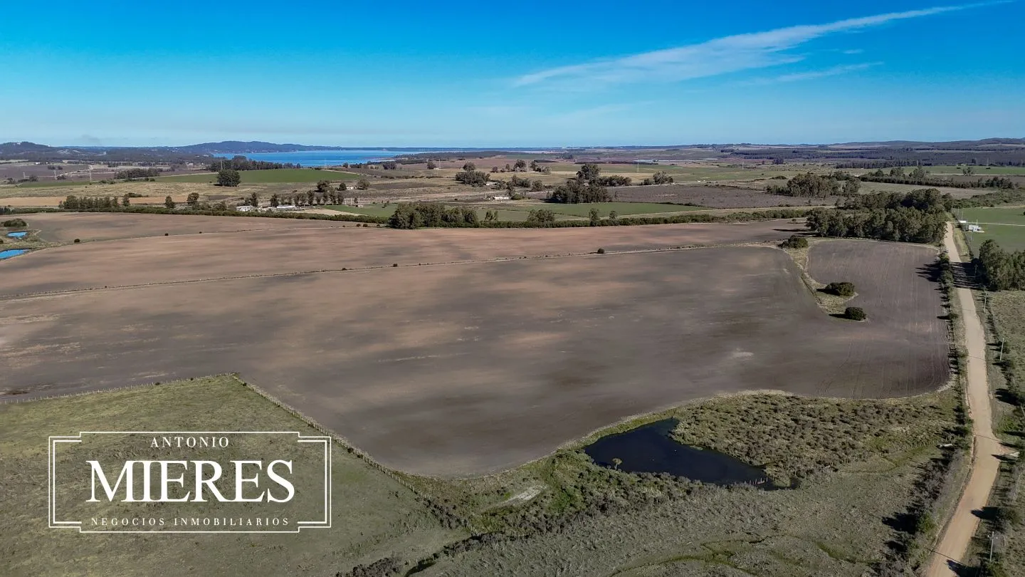 Campo de 17 ha en venta puntas de Laguna del Sauce — foto 27