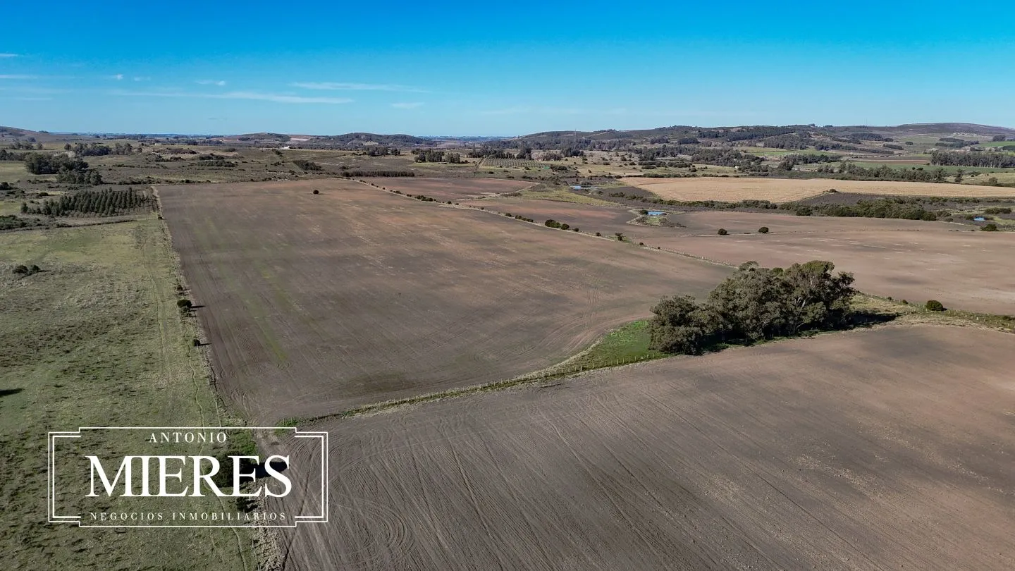 Campo de 17 ha en venta puntas de Laguna del Sauce — foto 28