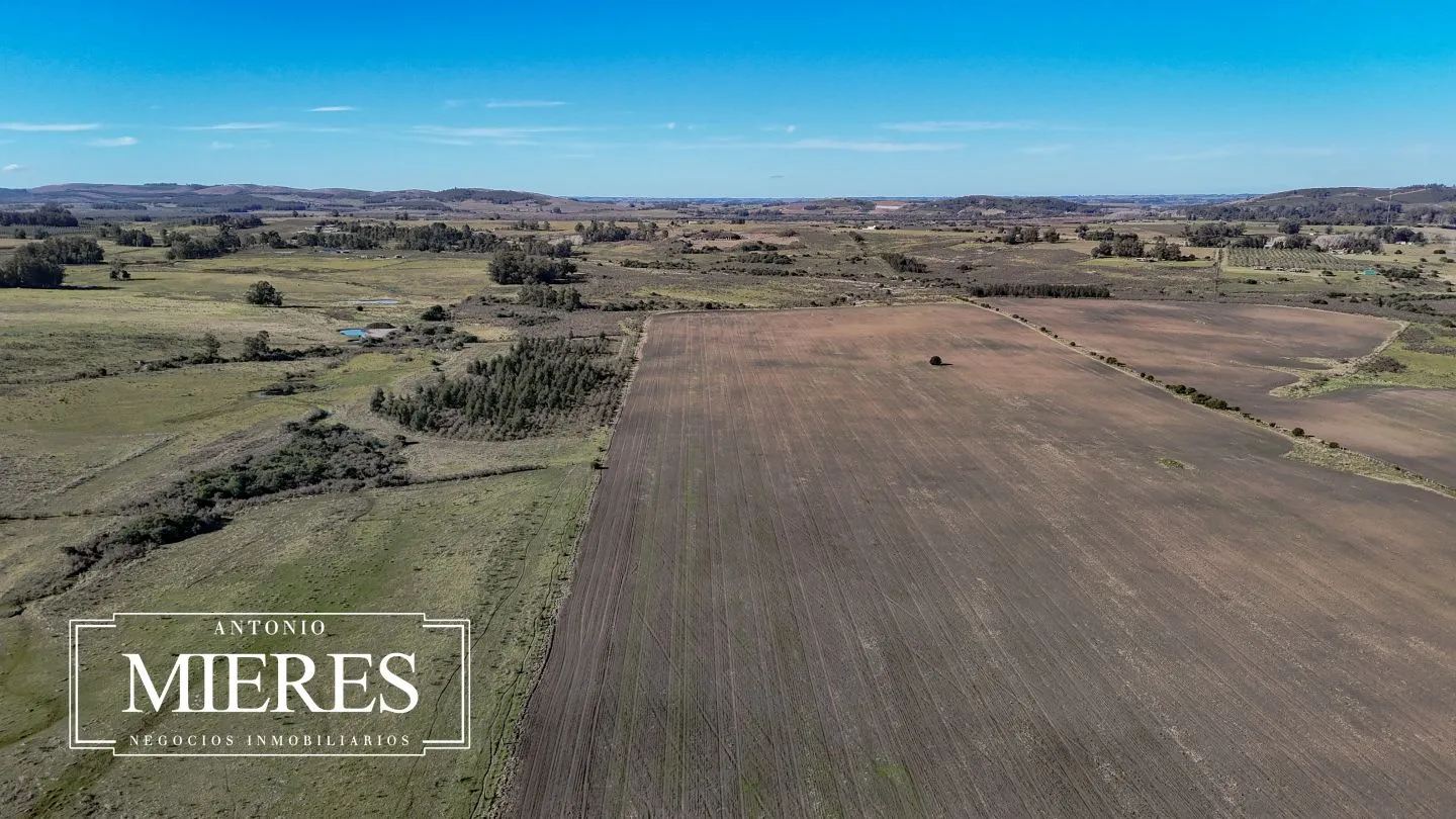 Campo de 17 ha en venta puntas de Laguna del Sauce — foto 29