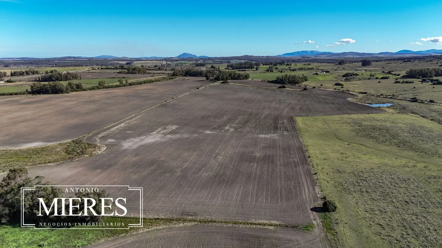 Campo de 17 ha en venta puntas de Laguna del Sauce — foto 30