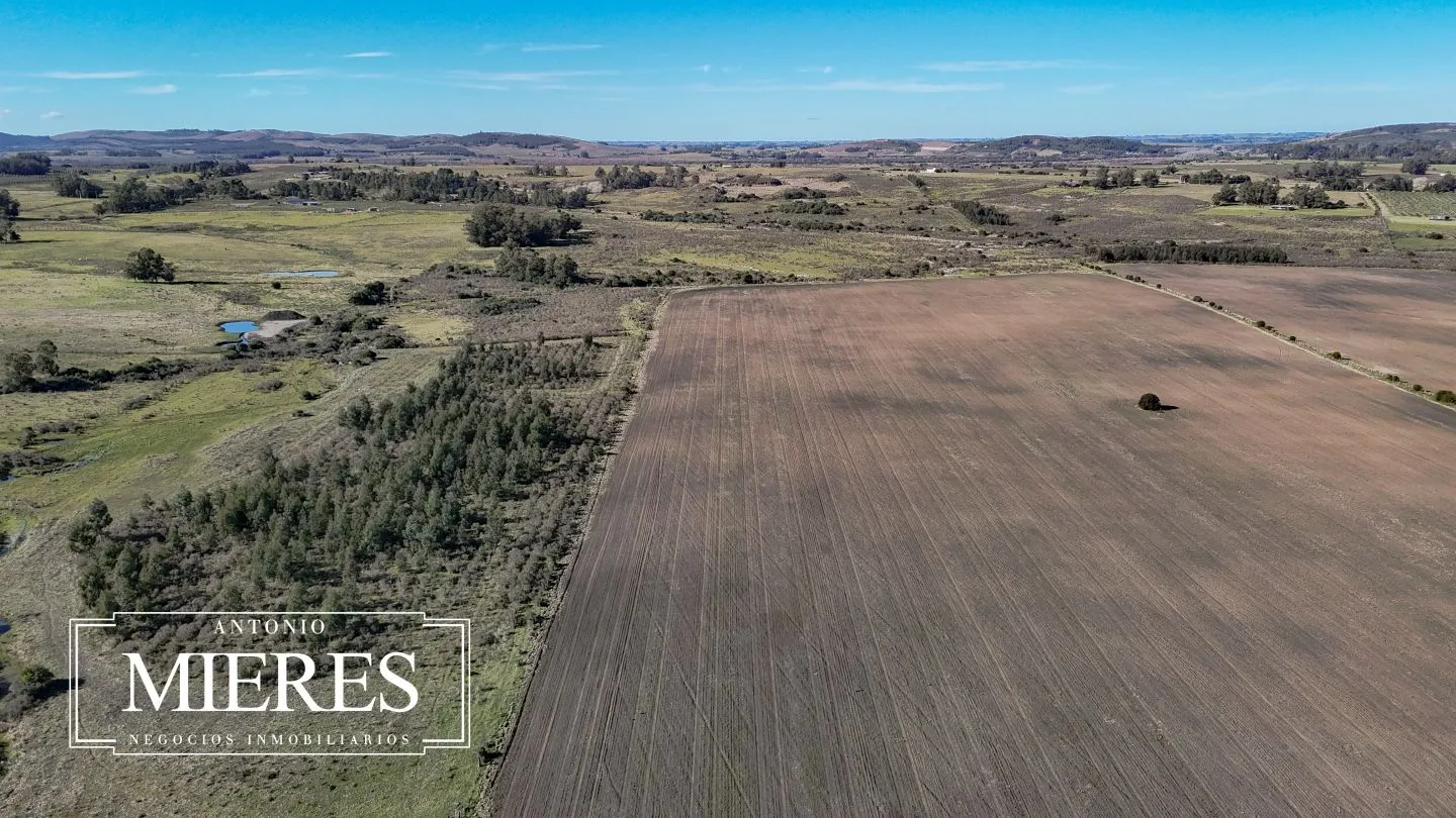Campo de 17 ha en venta puntas de Laguna del Sauce — foto 31