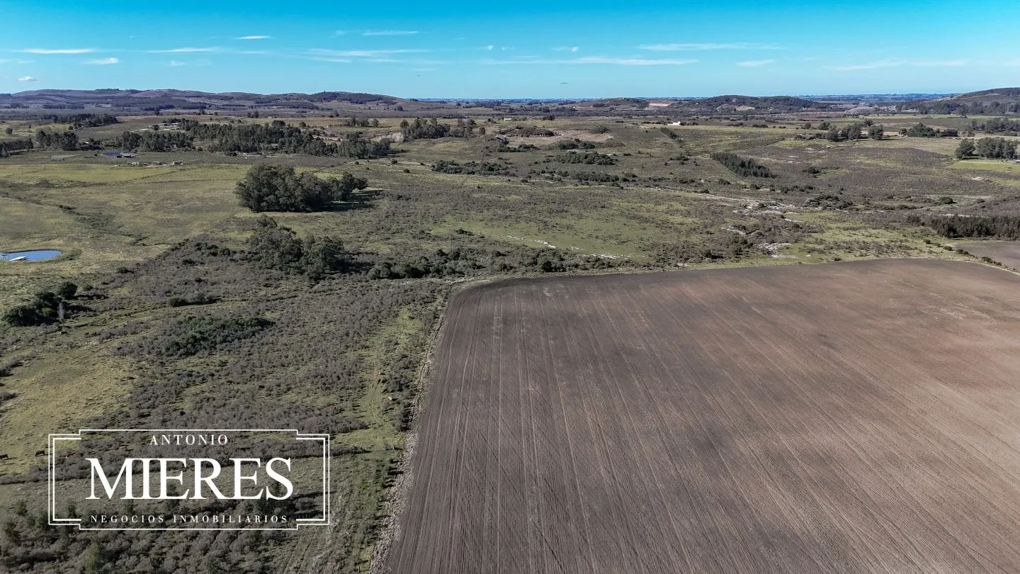 Campo de 17 ha en venta puntas de Laguna del Sauce — foto 32