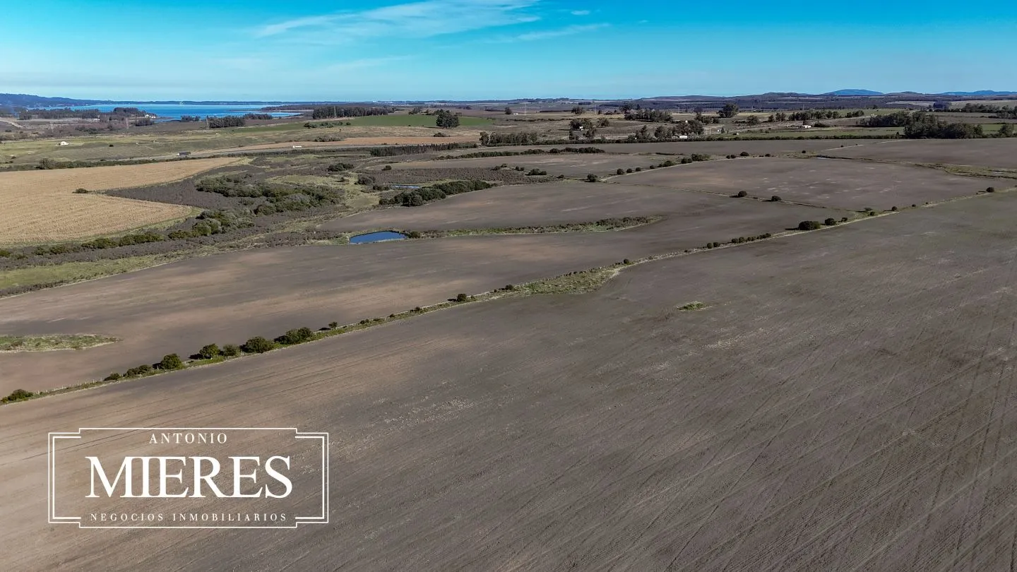Campo de 17 ha en venta puntas de Laguna del Sauce — foto 33