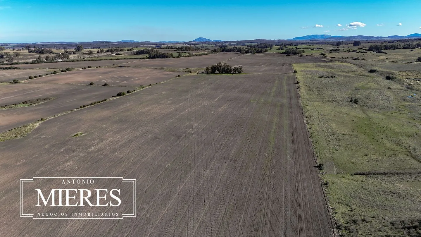 Campo de 17 ha en venta puntas de Laguna del Sauce — foto 34