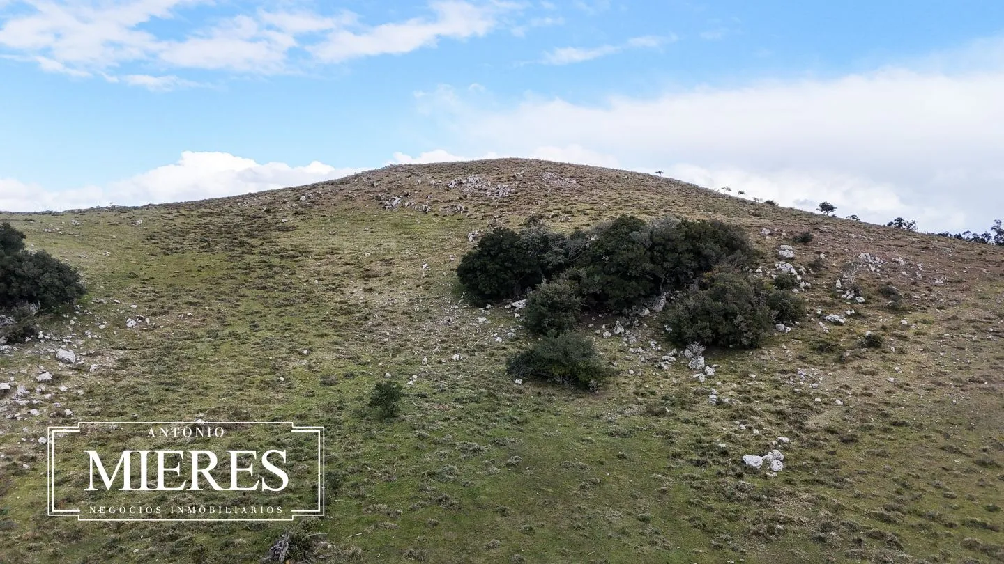 Chacra de 6.5ha en Sierras de Carape — foto 22