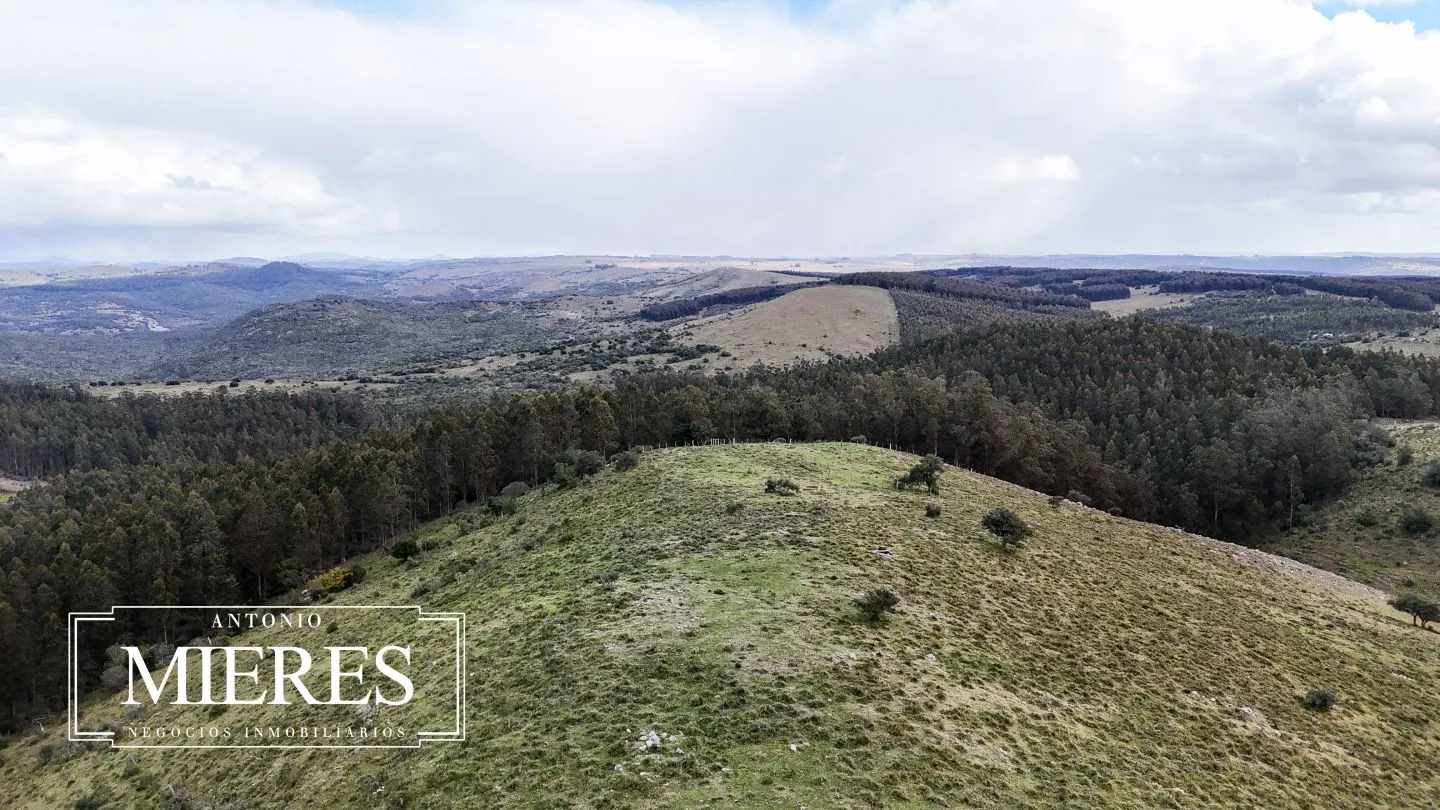 Chacra de 6.5ha en Sierras de Carape — foto 25