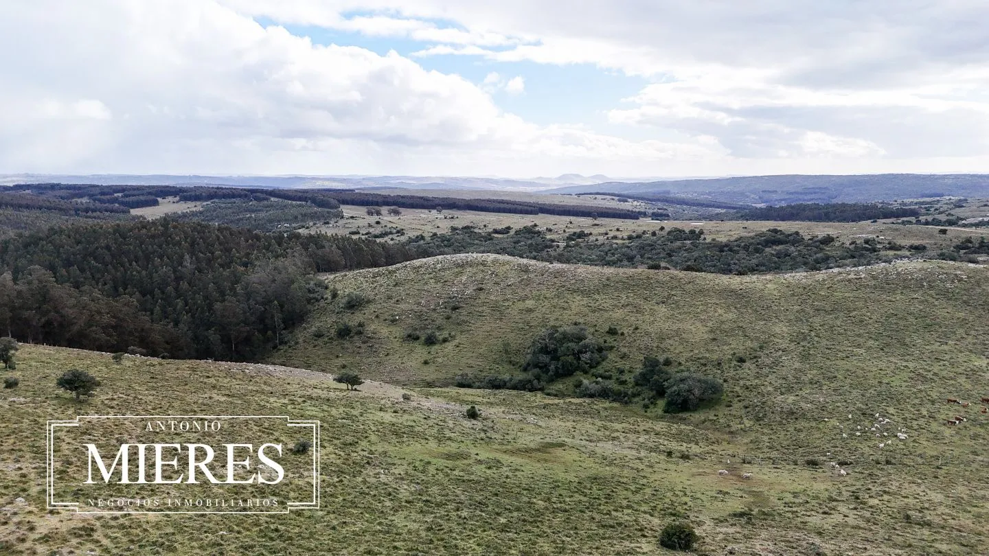 Chacra de 6.5ha en Sierras de Carape — foto 26