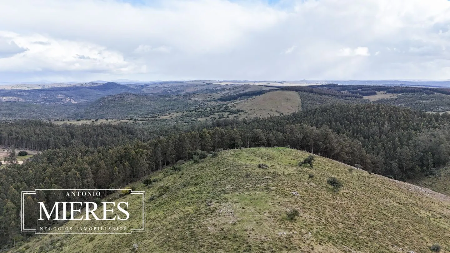 Chacra de 6.5ha en Sierras de Carape — foto 29