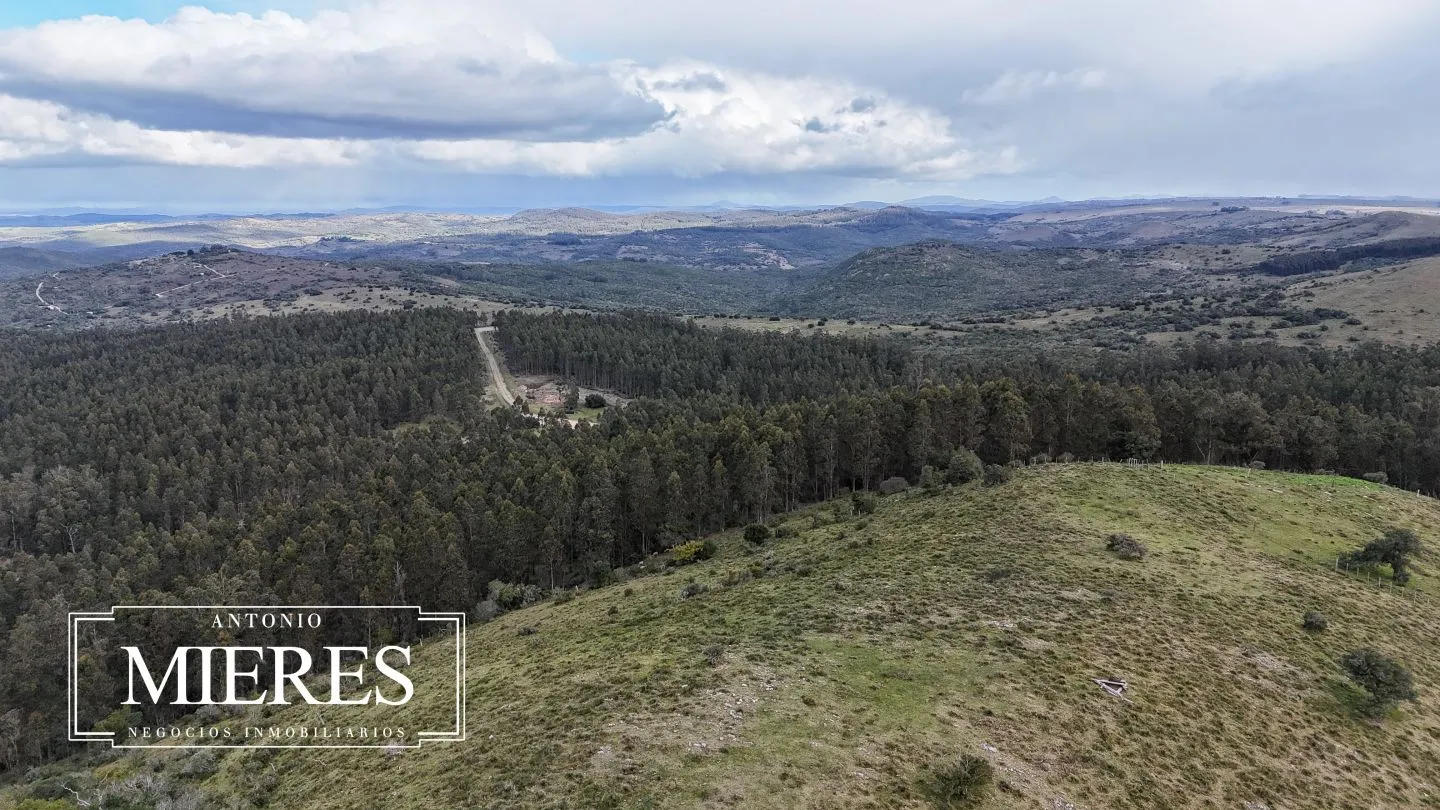 Chacra de 6.5ha en Sierras de Carape — foto 32