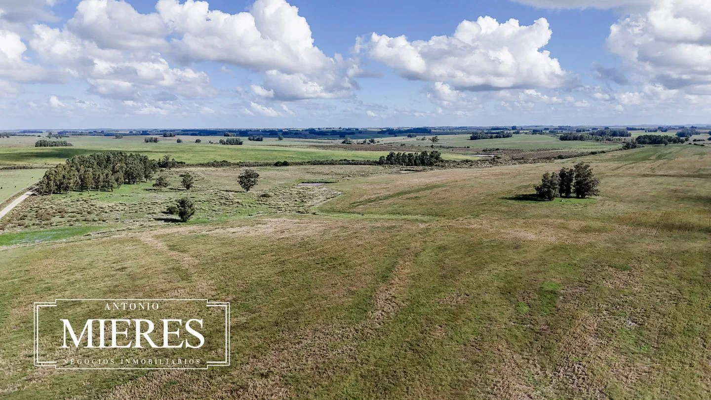 campo en venta en Punta del Este — foto 31