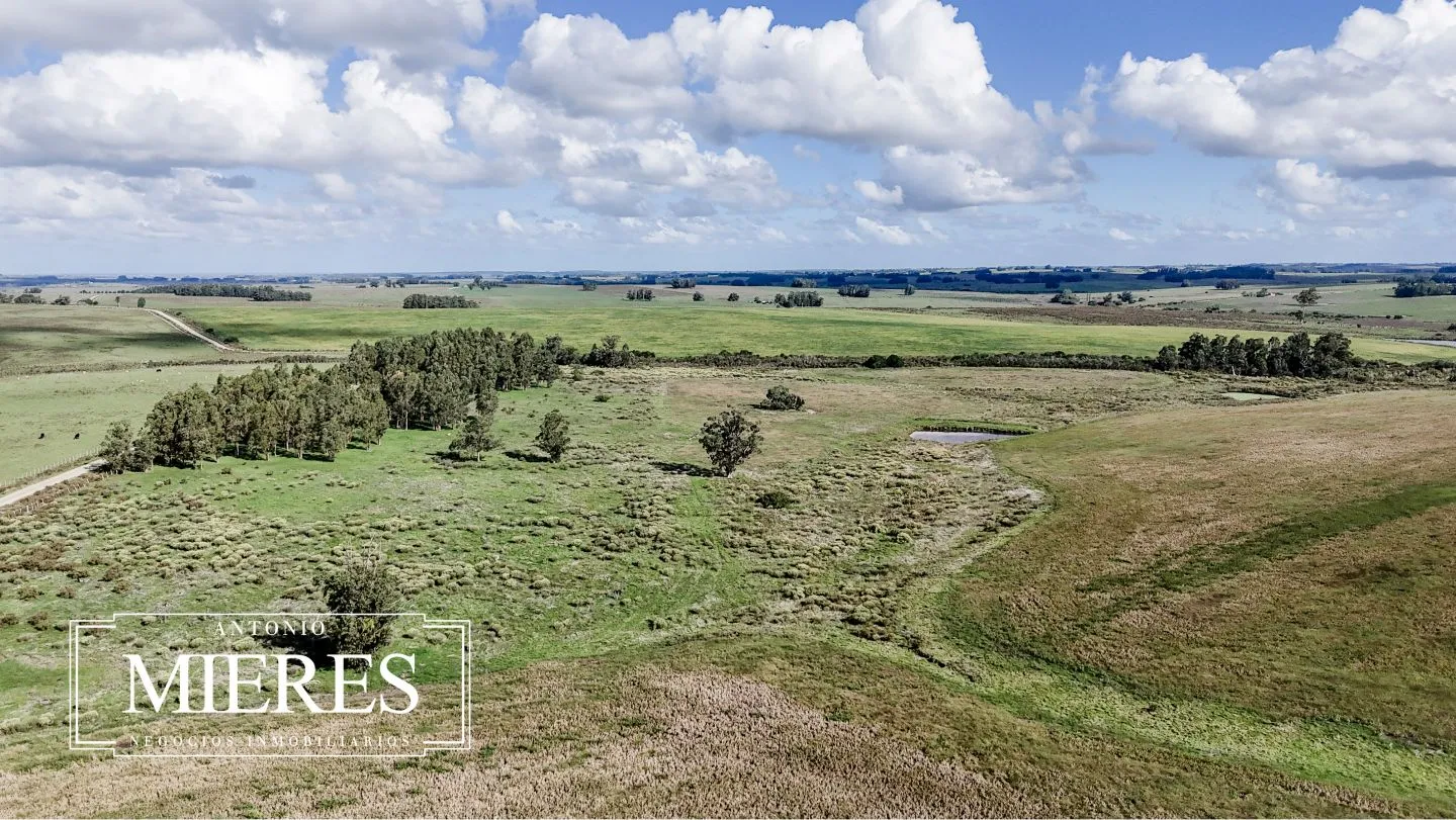 campo en venta en Punta del Este — foto 32