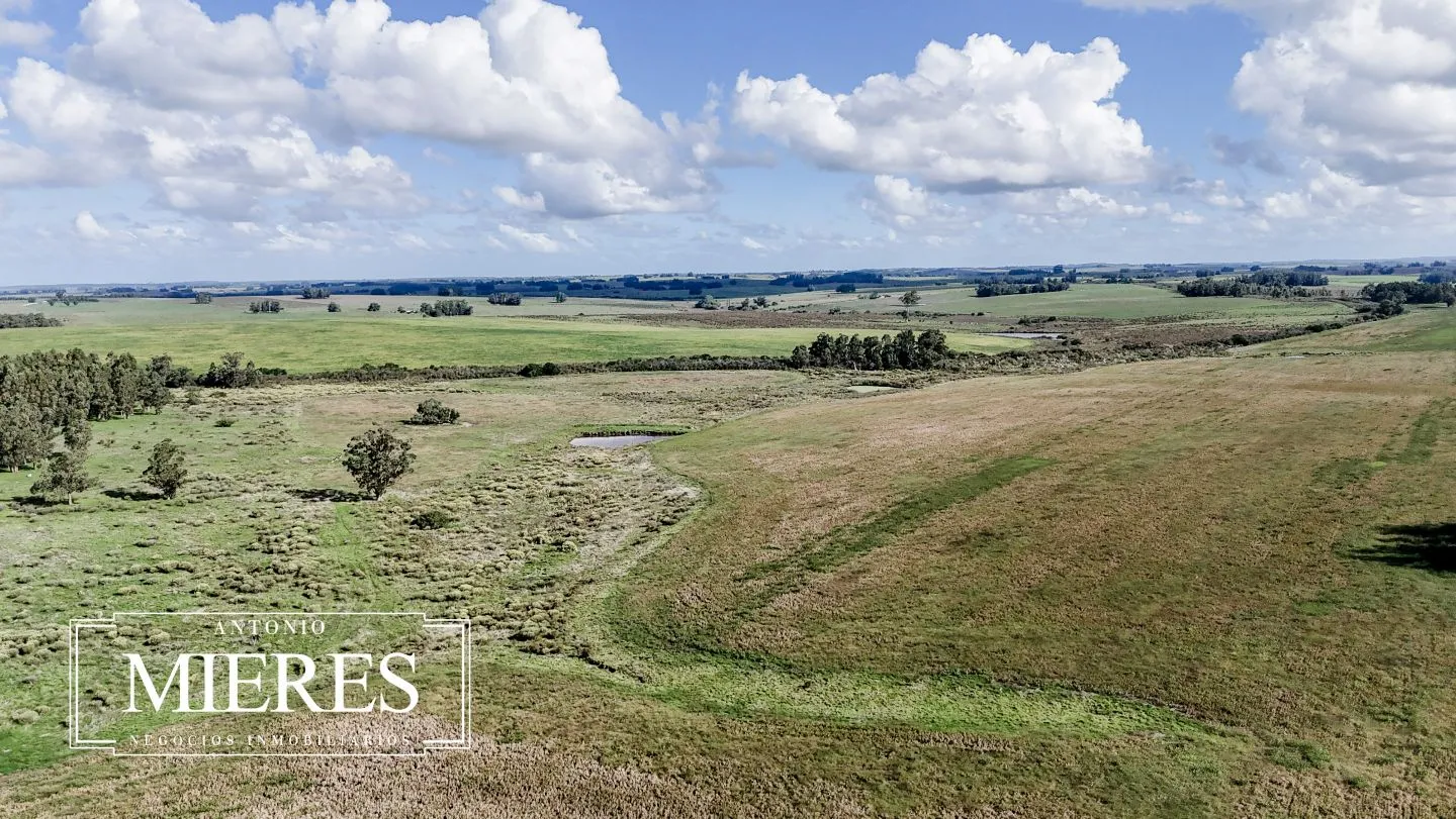 campo en venta en Punta del Este — foto 33