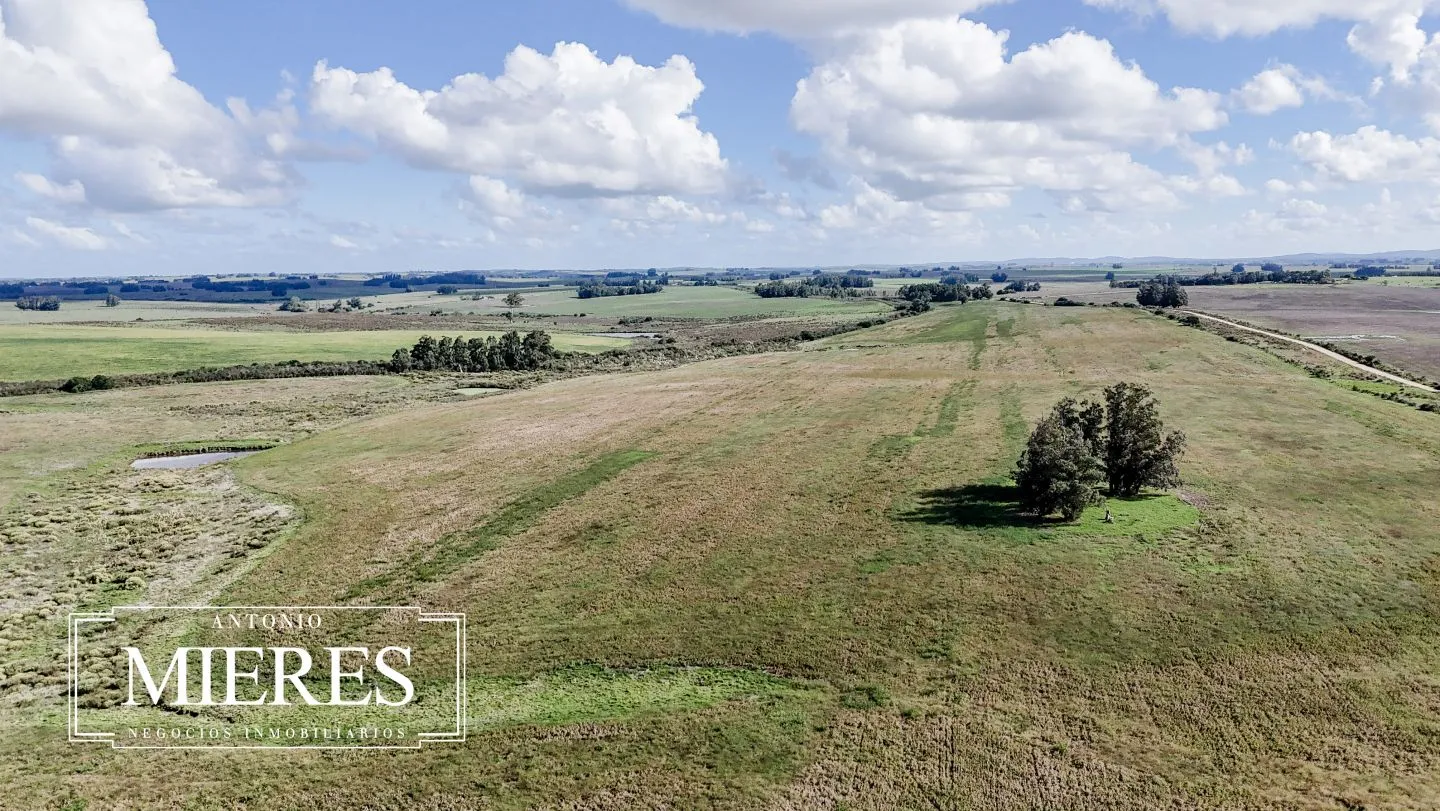 campo en venta en Punta del Este — foto 34
