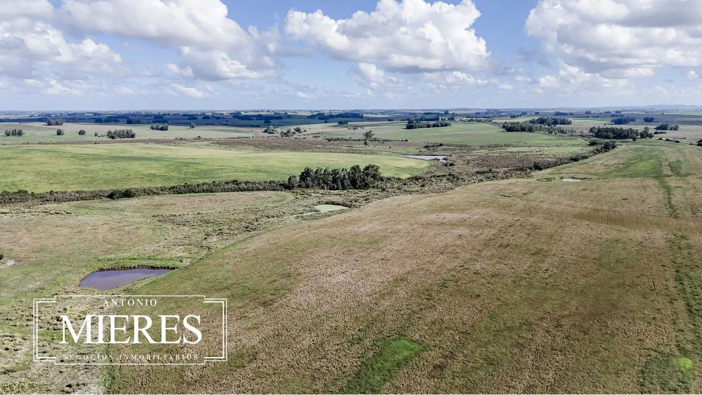 campo en venta en Punta del Este — foto 35