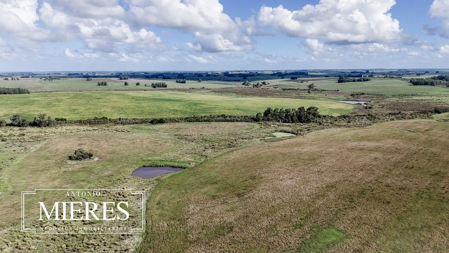 campo en venta en Punta del Este — foto 36
