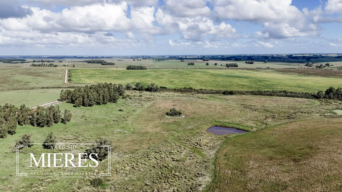 campo en venta en Punta del Este — foto 37