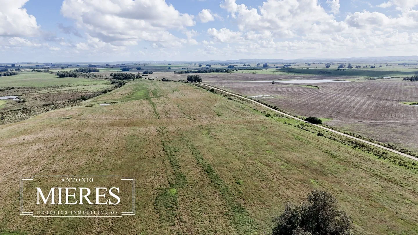 campo en venta en Punta del Este — foto 38