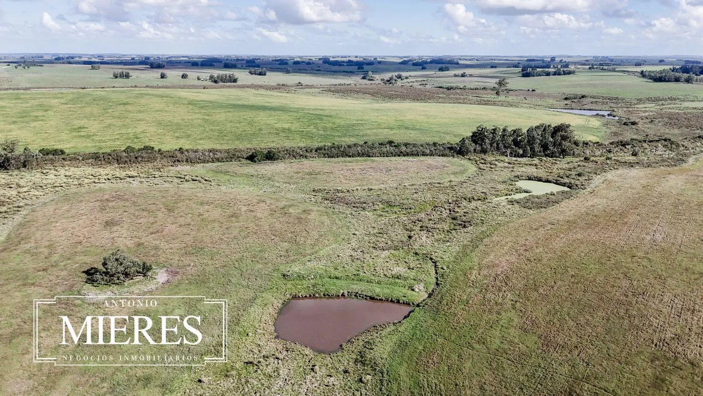 campo en venta en Punta del Este — foto 39