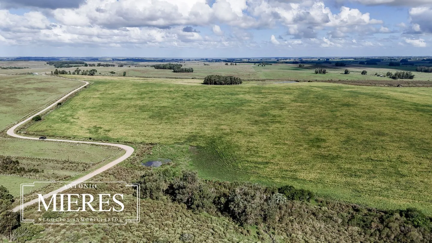 campo en venta en Punta del Este — foto 40