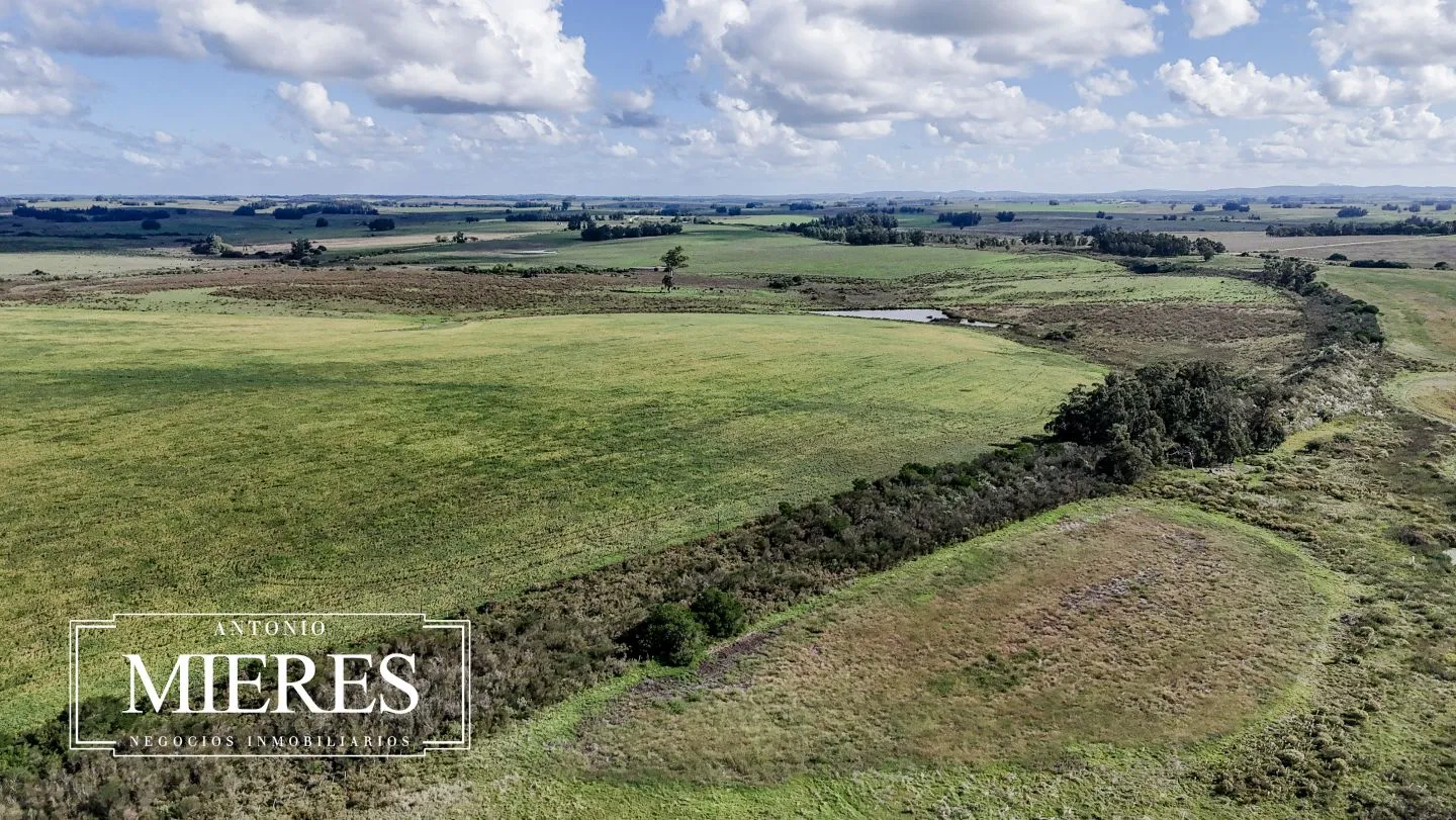 campo en venta en Punta del Este — foto 41
