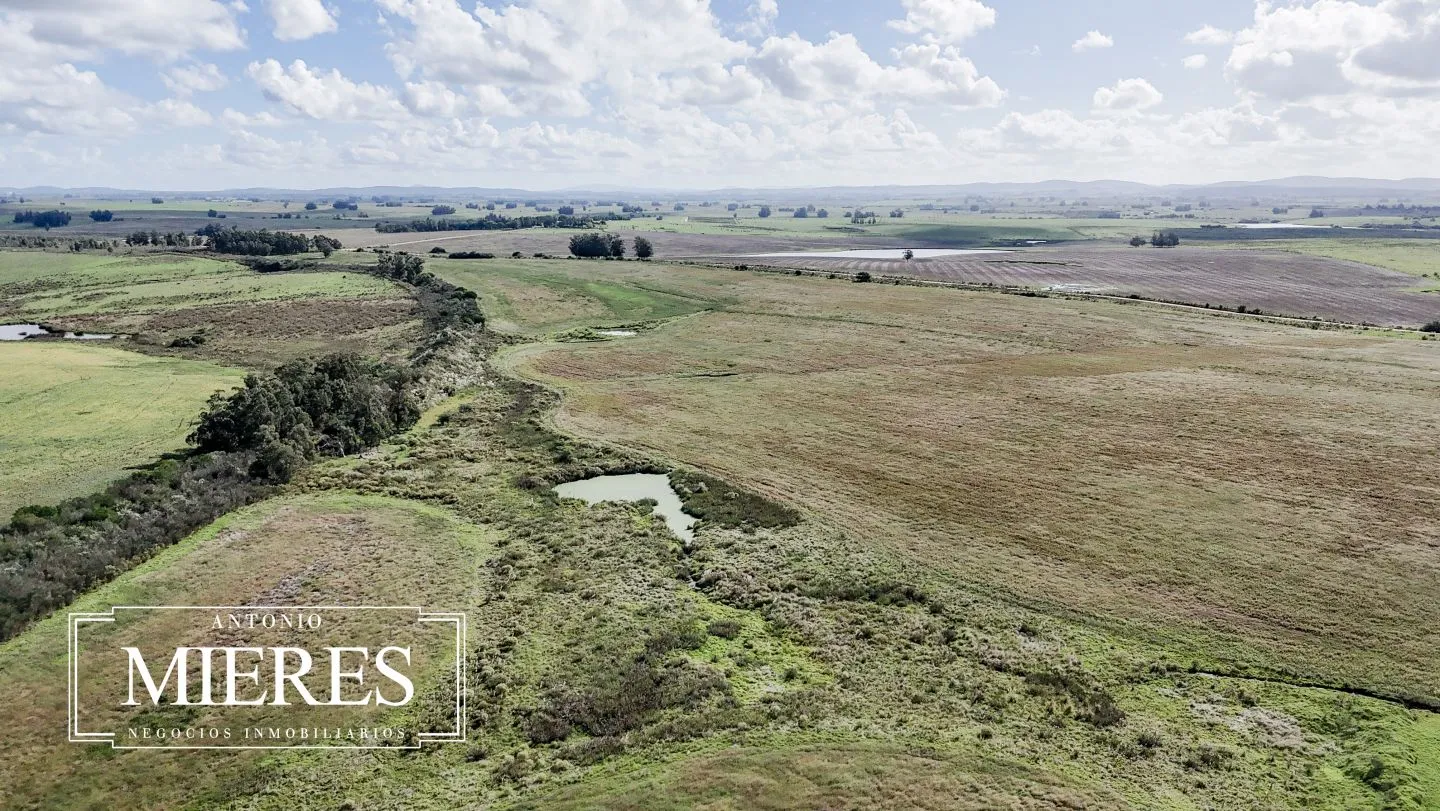 campo en venta en Punta del Este — foto 42