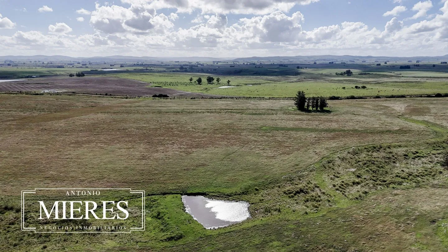 campo en venta en Punta del Este — foto 43