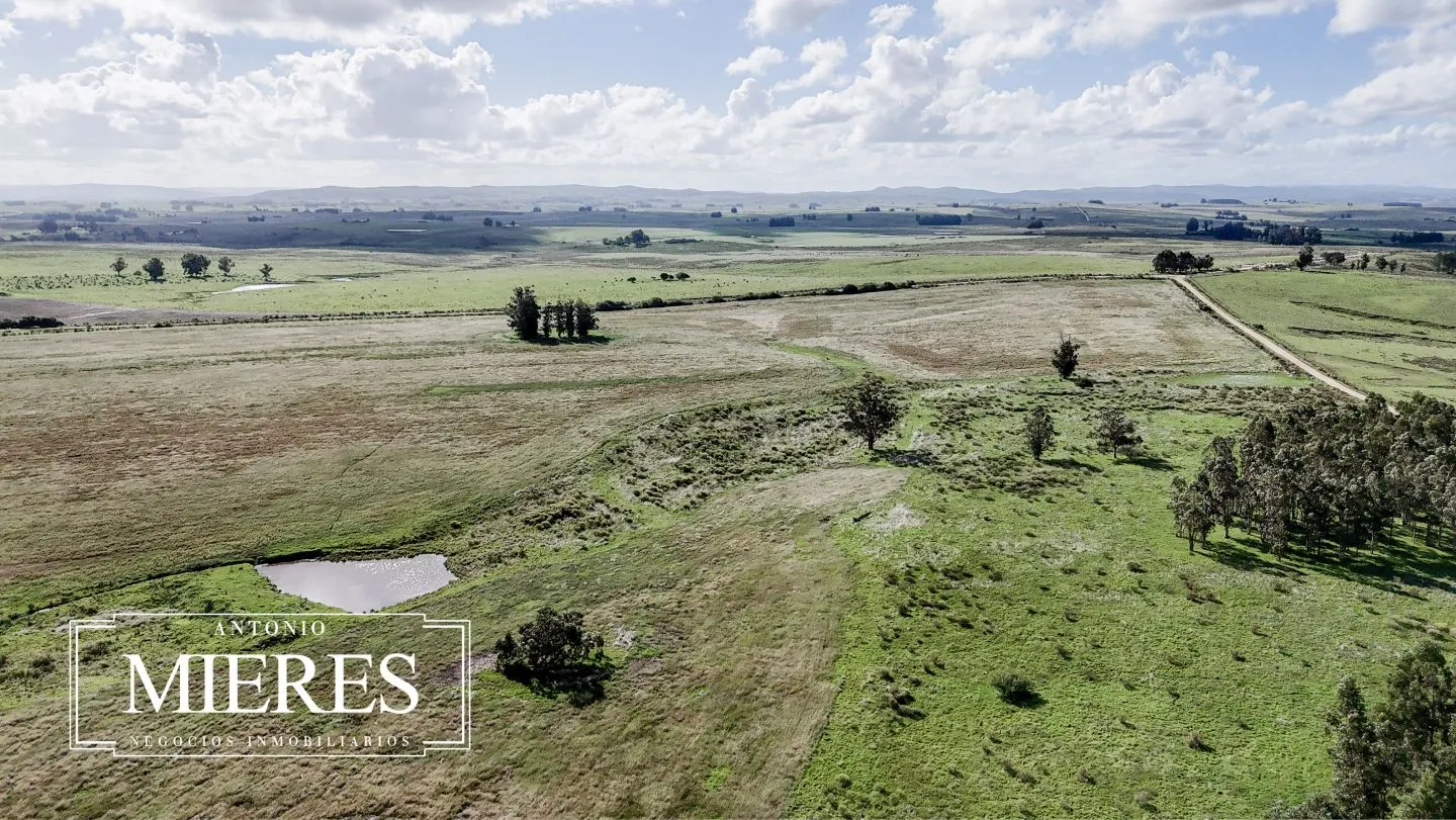 campo en venta en Punta del Este — foto 44
