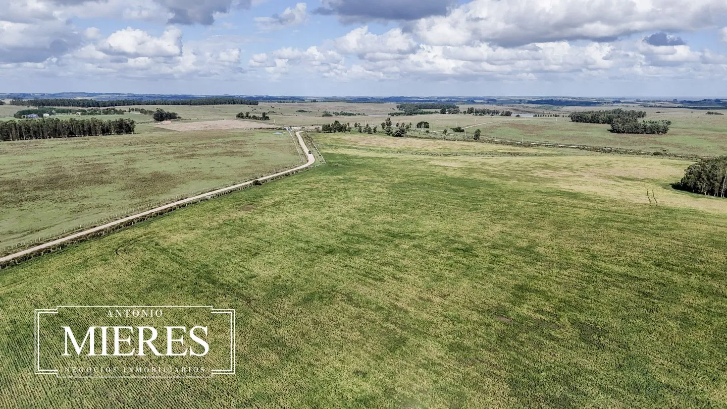 campo en venta en Punta del Este — foto 45
