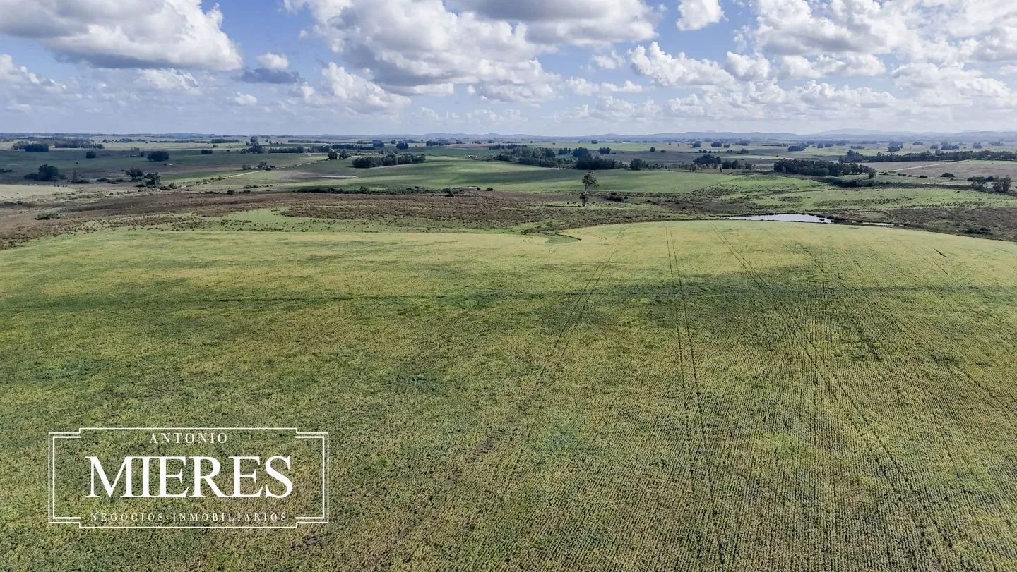 campo en venta en Punta del Este — foto 46