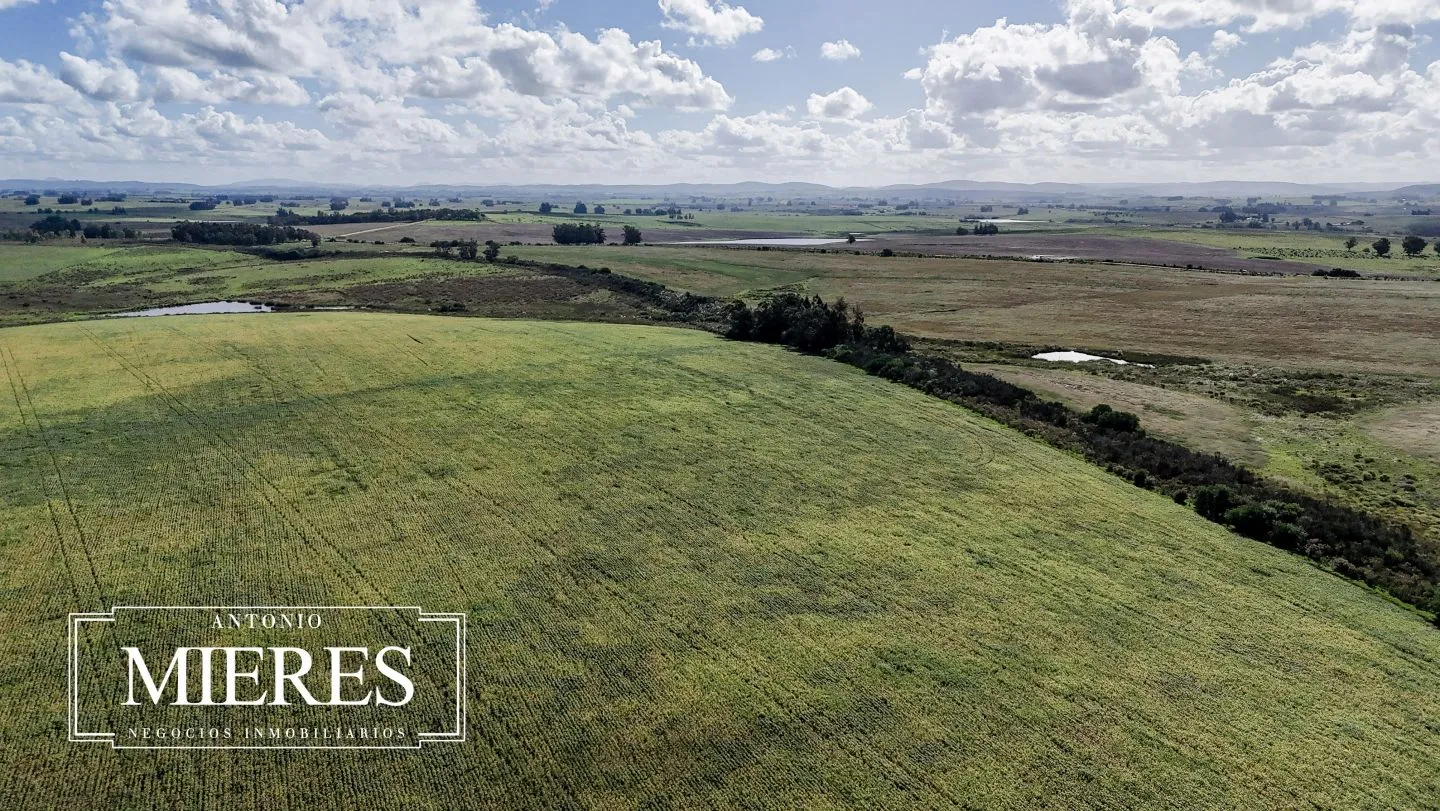 campo en venta en Punta del Este — foto 47