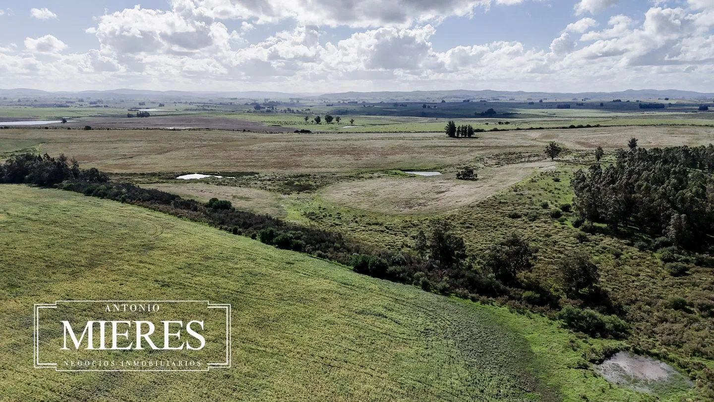 campo en venta en Punta del Este — foto 48