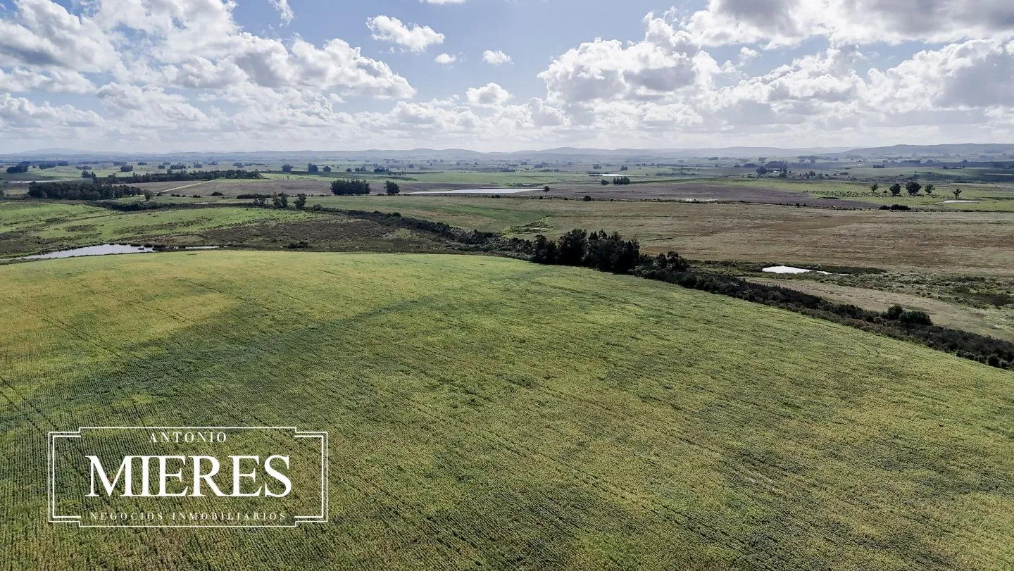 campo en venta en Punta del Este — foto 49