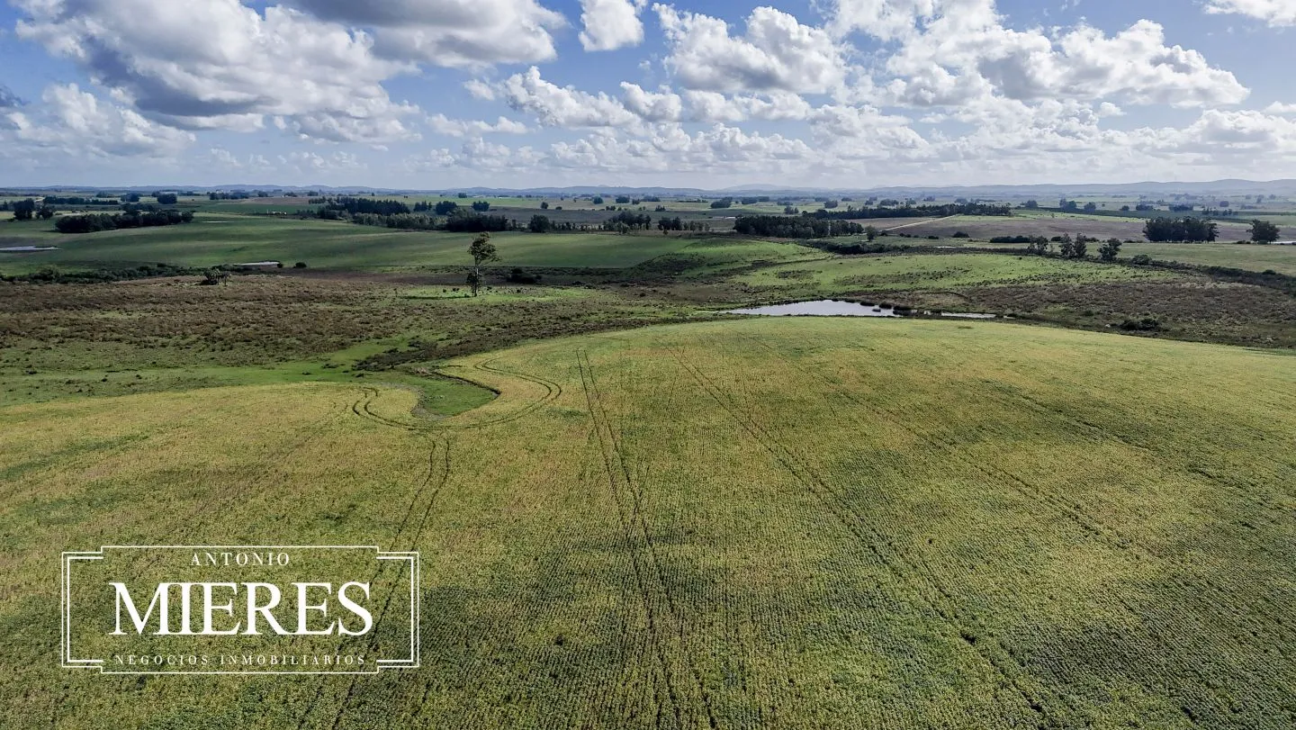 campo en venta en Punta del Este — foto 50