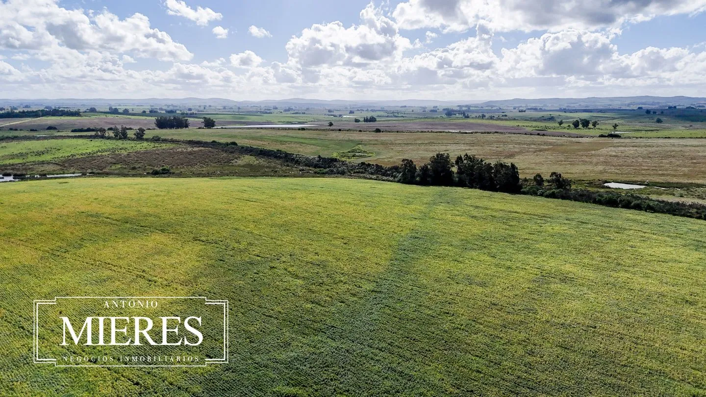 campo en venta en Punta del Este — foto 51