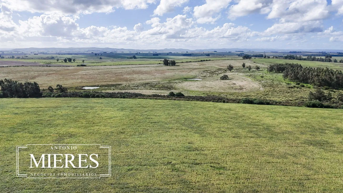 campo en venta en Punta del Este — foto 52