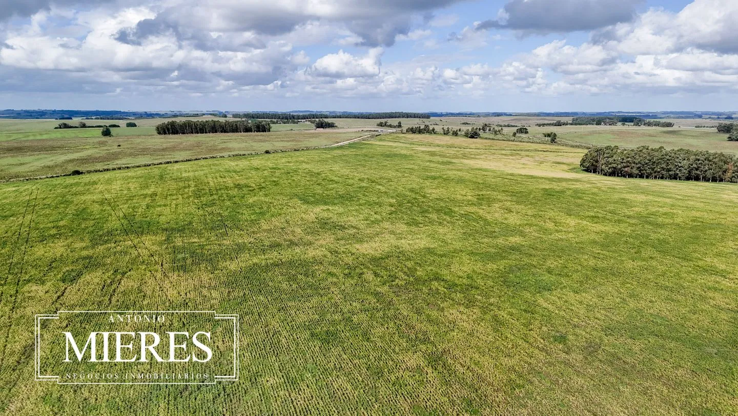 campo en venta en Punta del Este — foto 53