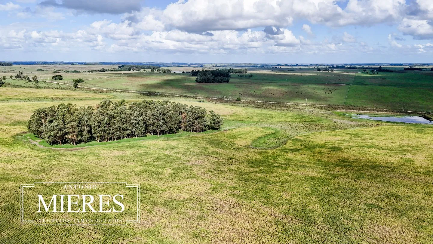 campo en venta en Punta del Este — foto 54
