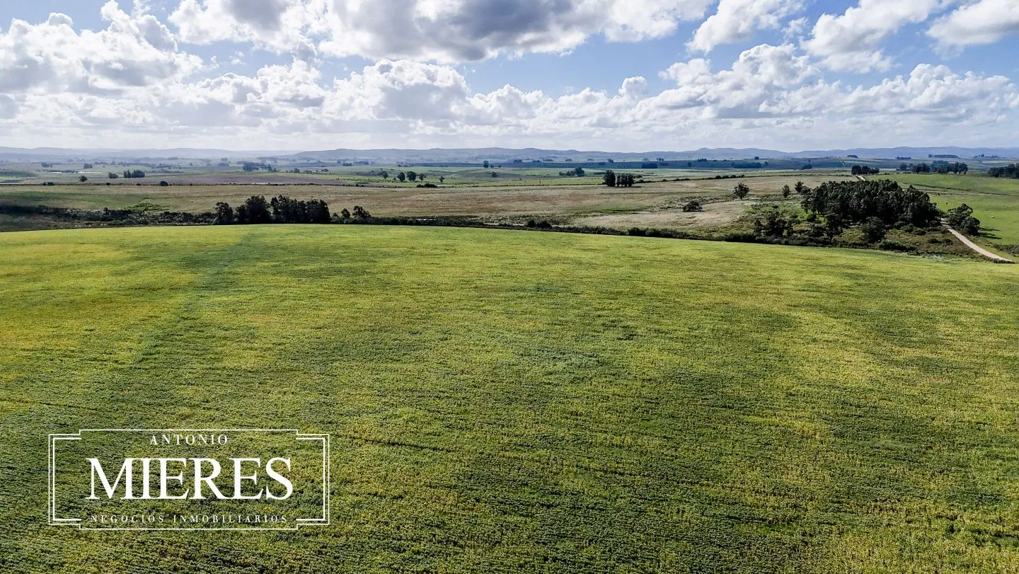campo en venta en Punta del Este — foto 55