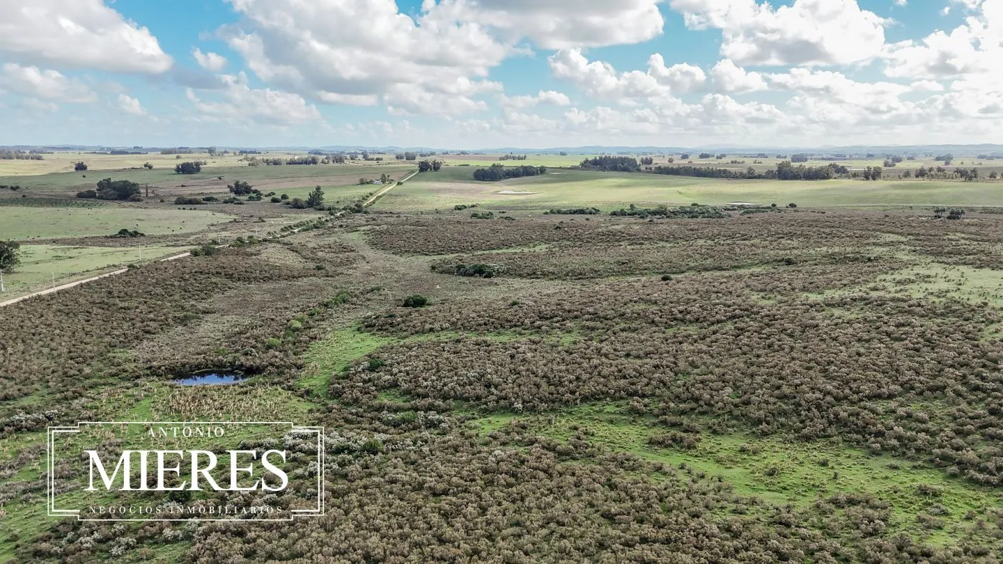 campo en venta en Punta del Este — foto 57