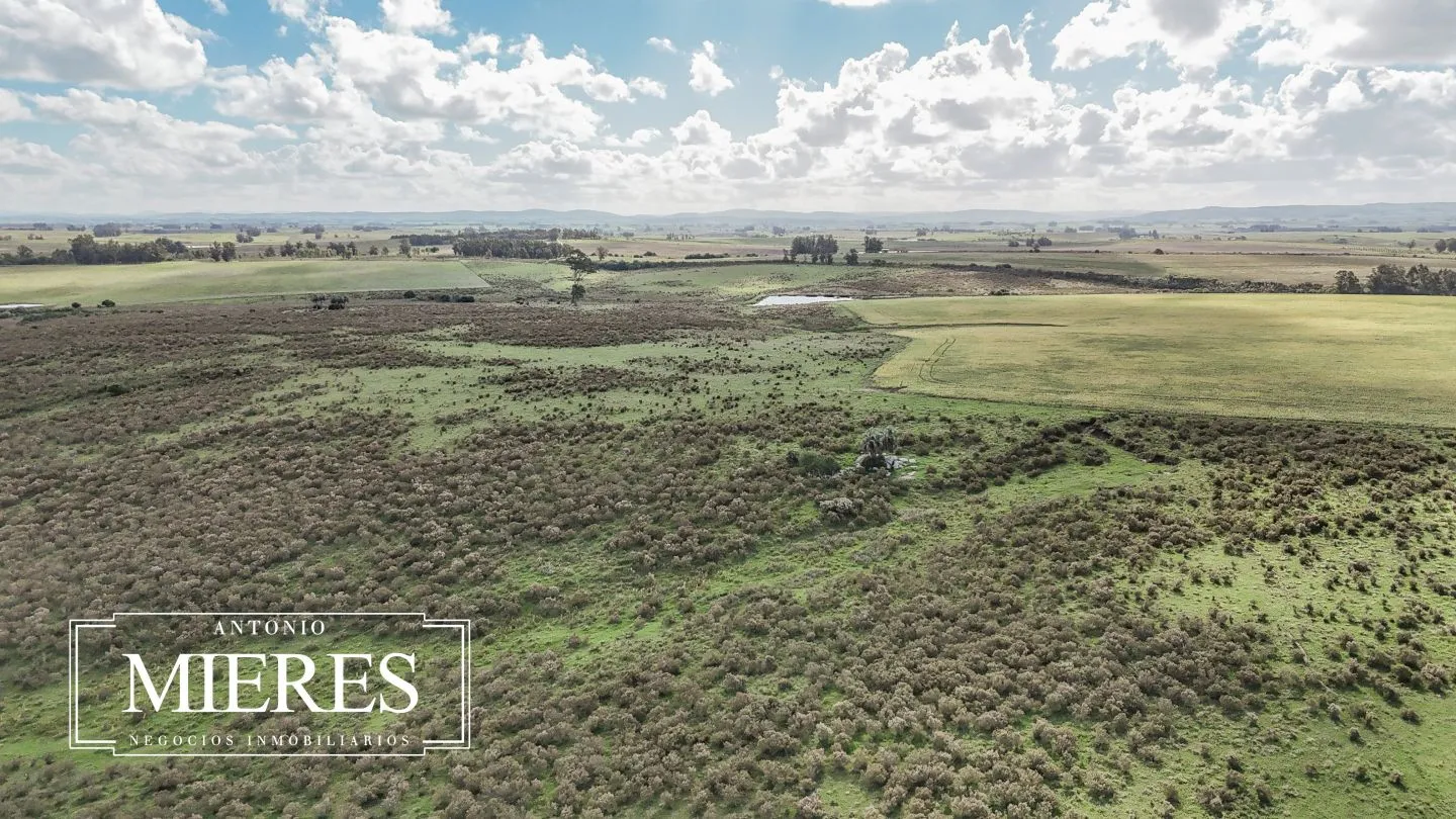 campo en venta en Punta del Este — foto 58