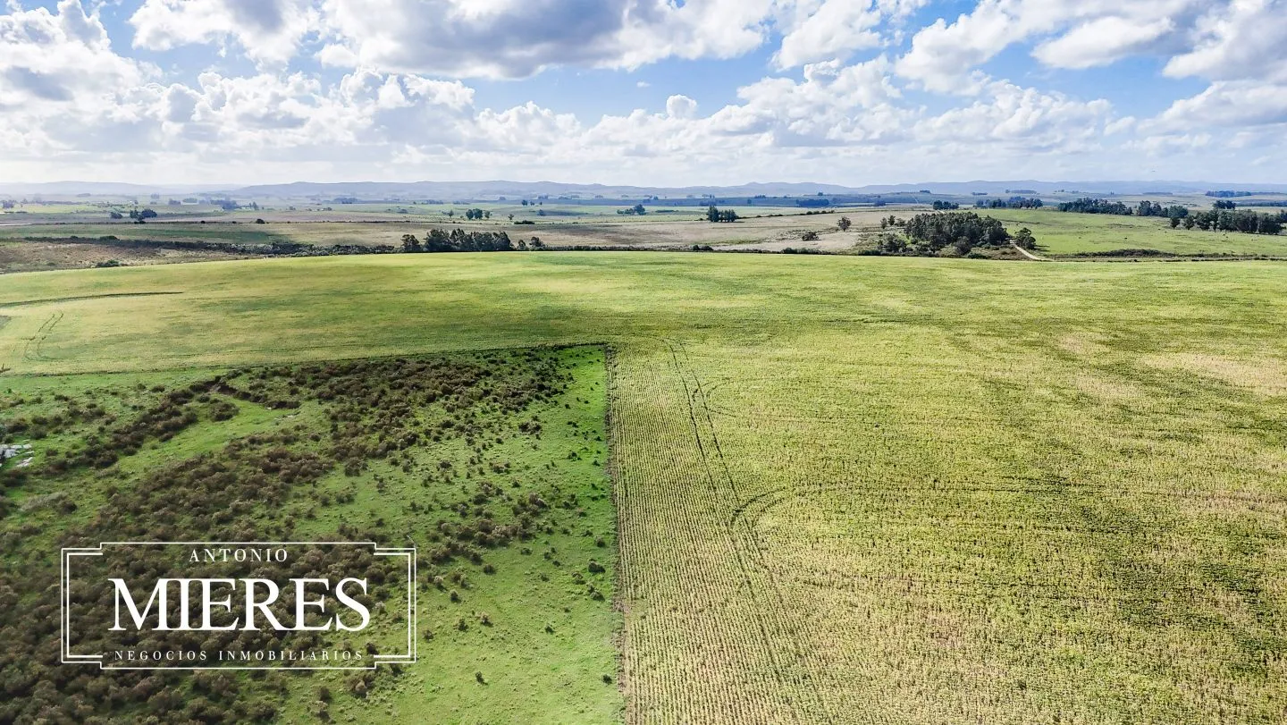 campo en venta en Punta del Este — foto 59